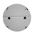 Haut-parleur de plafond de montage de surface 3 / 6W PA